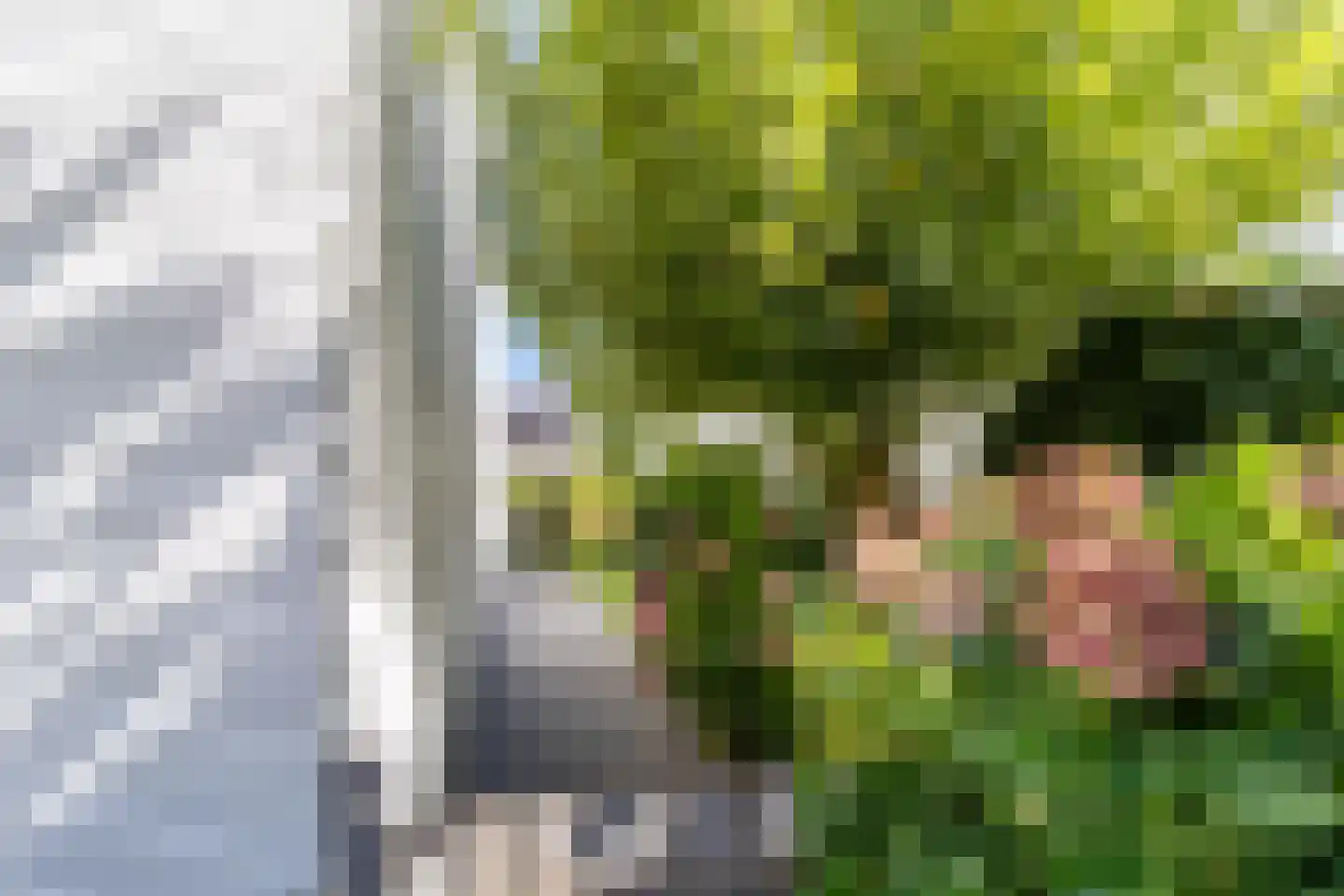 Boterbloemlaan 4 Zoeterwoude thumbnail 55