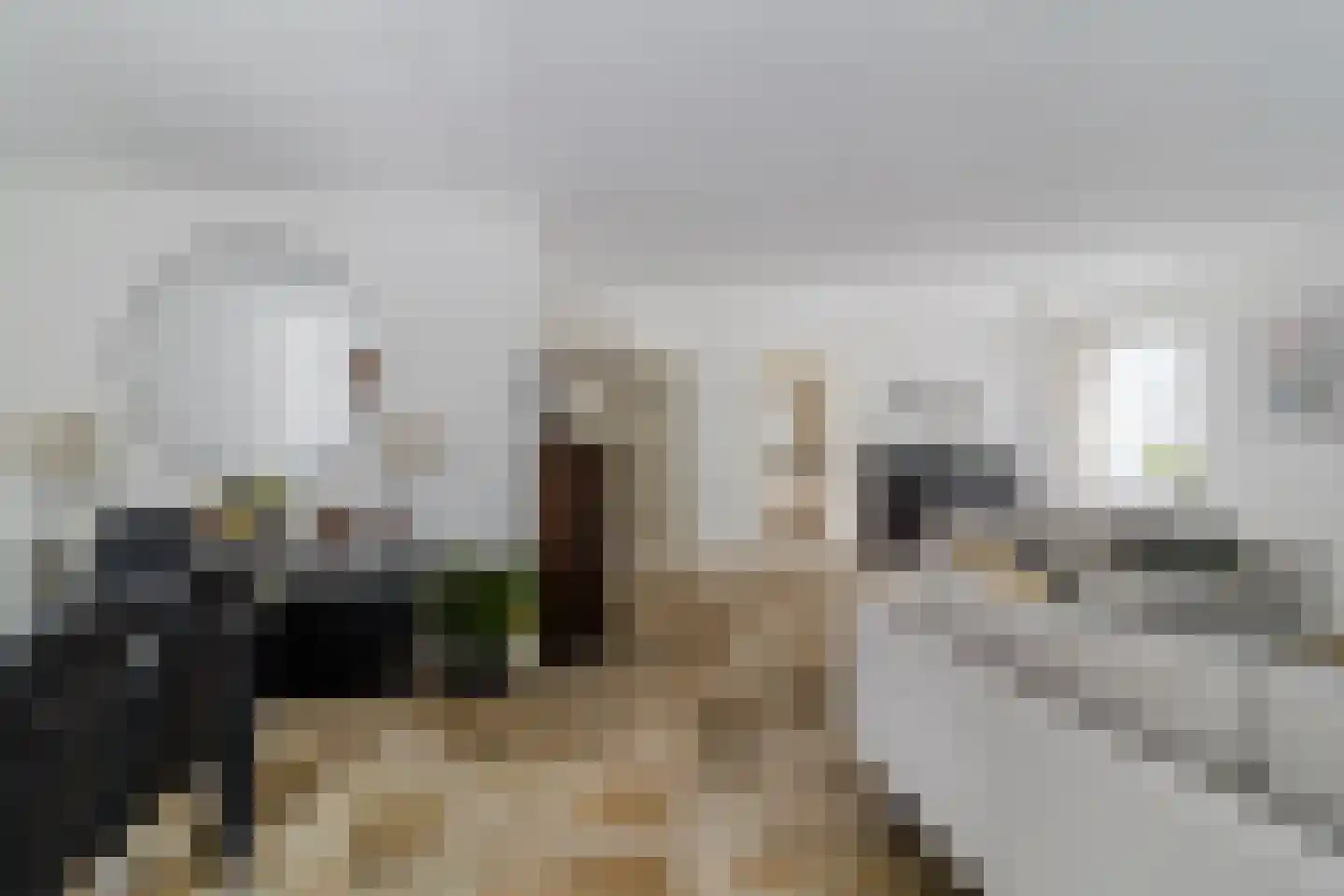 Boterbloemlaan 4 Zoeterwoude thumbnail 9