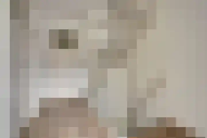 Boterbloempad 10 Spijkenisse thumbnail 12