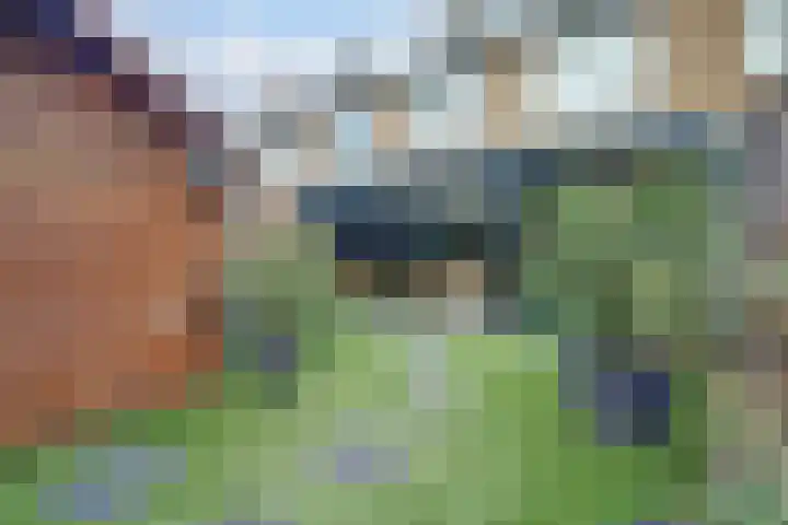 Boterbloempad 10 Spijkenisse thumbnail 25