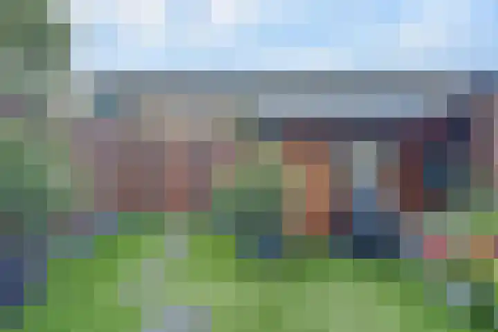 Boterbloempad 10 Spijkenisse thumbnail 26