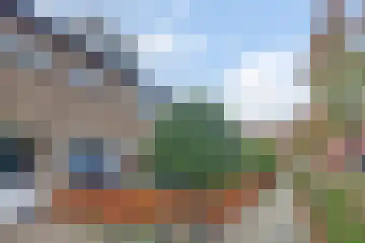 Boterbloempad 10 Spijkenisse thumbnail 31
