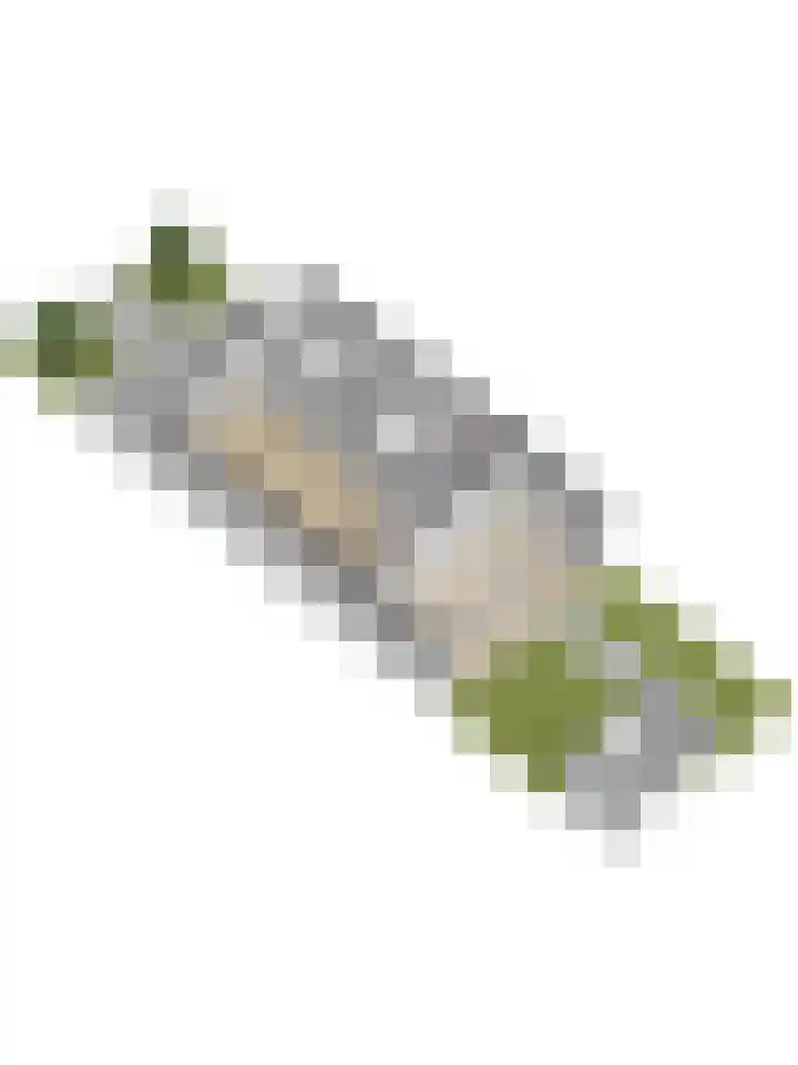 Boterbloempad 10 Spijkenisse thumbnail 32