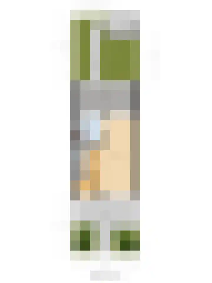 Boterbloempad 10 Spijkenisse thumbnail 39