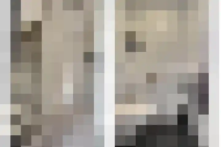 Boterbloempad 10 Spijkenisse thumbnail 6