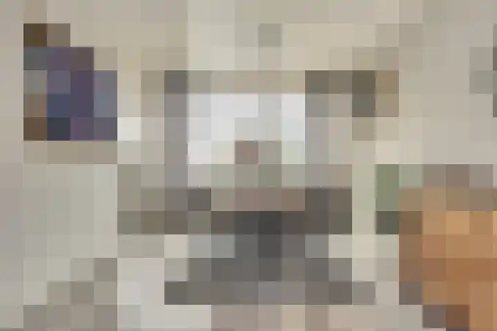 Boterbloempad 10 Spijkenisse thumbnail 8
