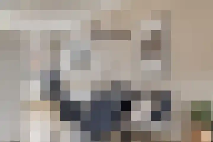 Boterbloempad 2 Goes thumbnail 11