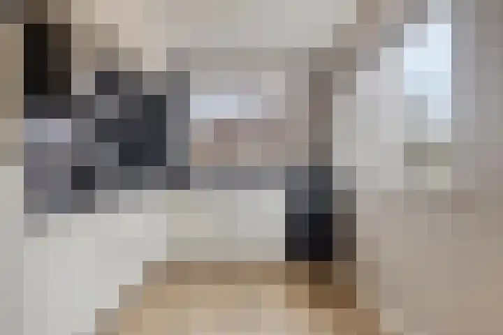 Boterbloempad 2 Goes thumbnail 12