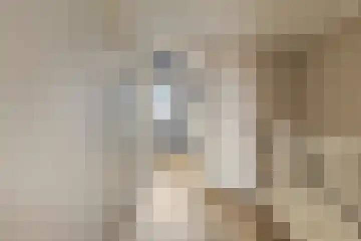 Boterbloempad 2 Goes thumbnail 14