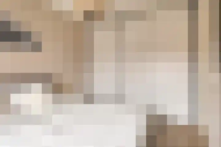 Boterbloempad 2 Goes thumbnail 20