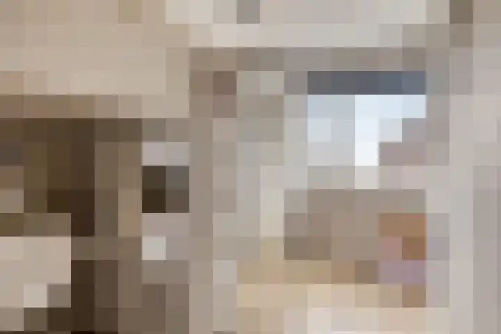 Boterbloempad 2 Goes thumbnail 23