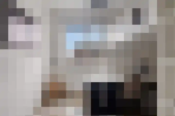 Boterbloempad 2 Goes thumbnail 25