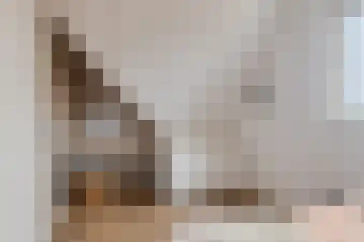 Boterbloempad 2 Goes thumbnail 28