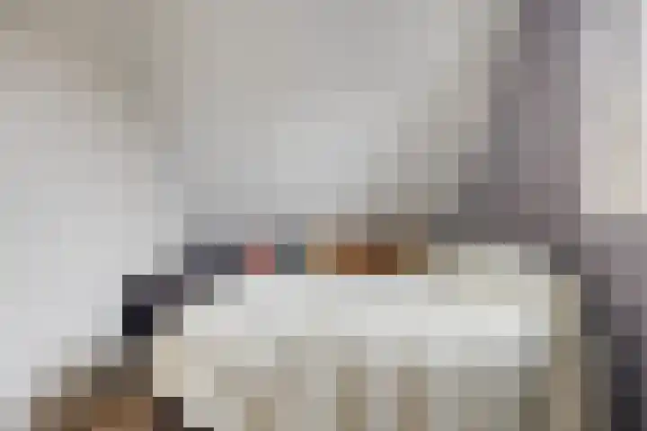 Boterbloempad 2 Goes thumbnail 29