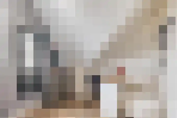Boterbloempad 2 Goes thumbnail 30