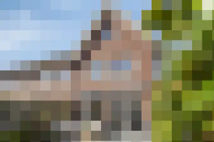 Boterbloempad 2 Goes thumbnail 31
