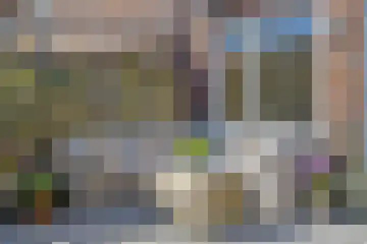 Boterbloempad 2 Goes thumbnail 33
