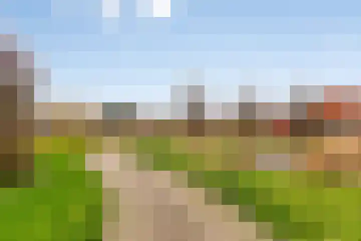 Boterbloempad 2 Goes thumbnail 34