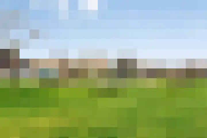 Boterbloempad 2 Goes thumbnail 35