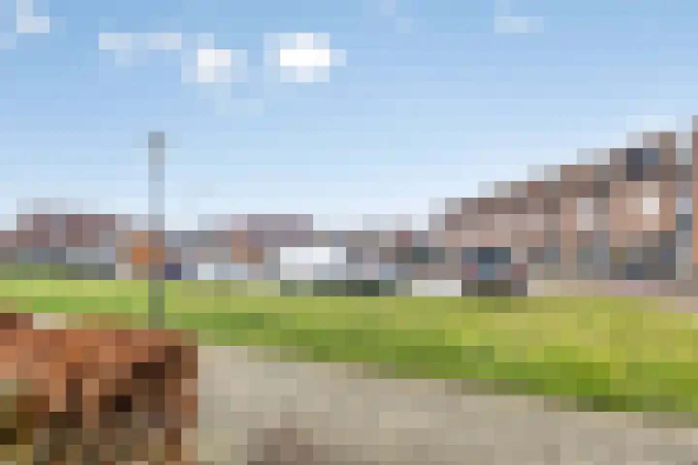 Boterbloempad 2 Goes thumbnail 5