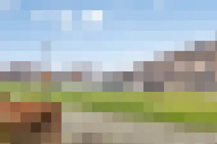Boterbloempad 2 Goes thumbnail 5
