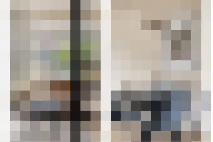 Boterbloempad 2 Goes thumbnail 9