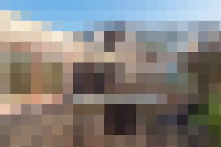 Boterbloempad 8 Akersloot thumbnail 27