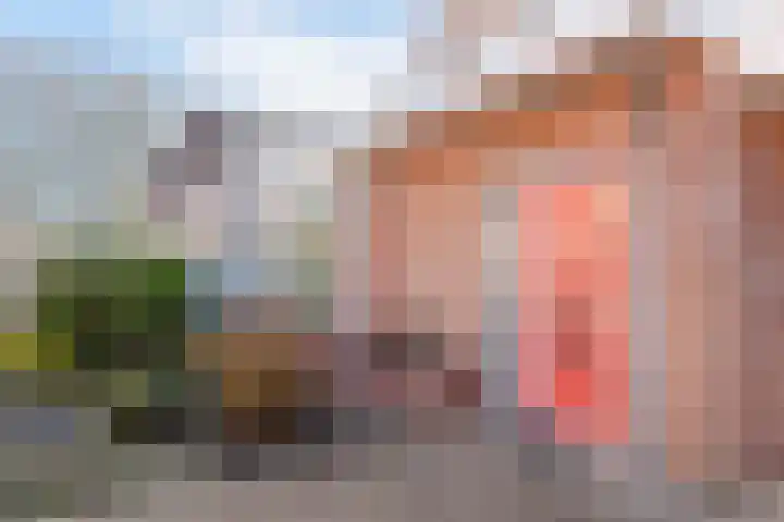 Boterbloempad 8 Akersloot thumbnail 30