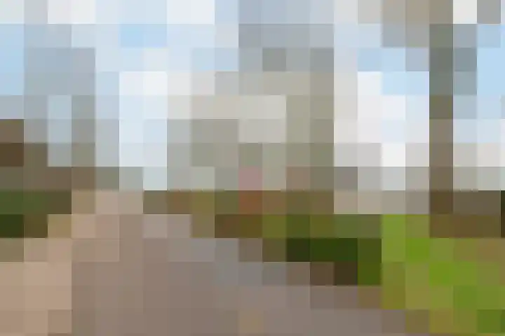 Boterbloempad 8 Akersloot thumbnail 37