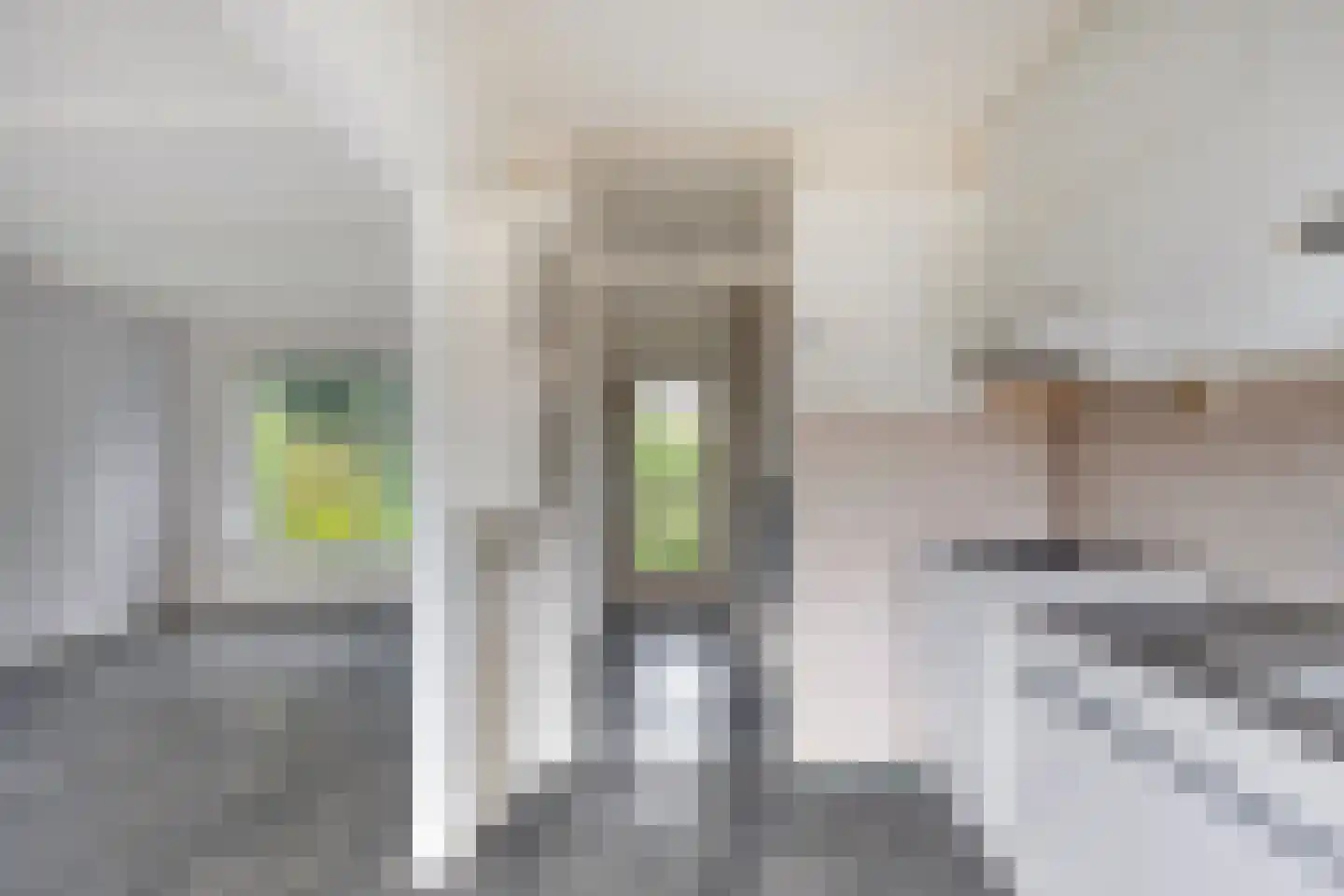 Boterbloemstraat 1 a Rheden thumbnail 14