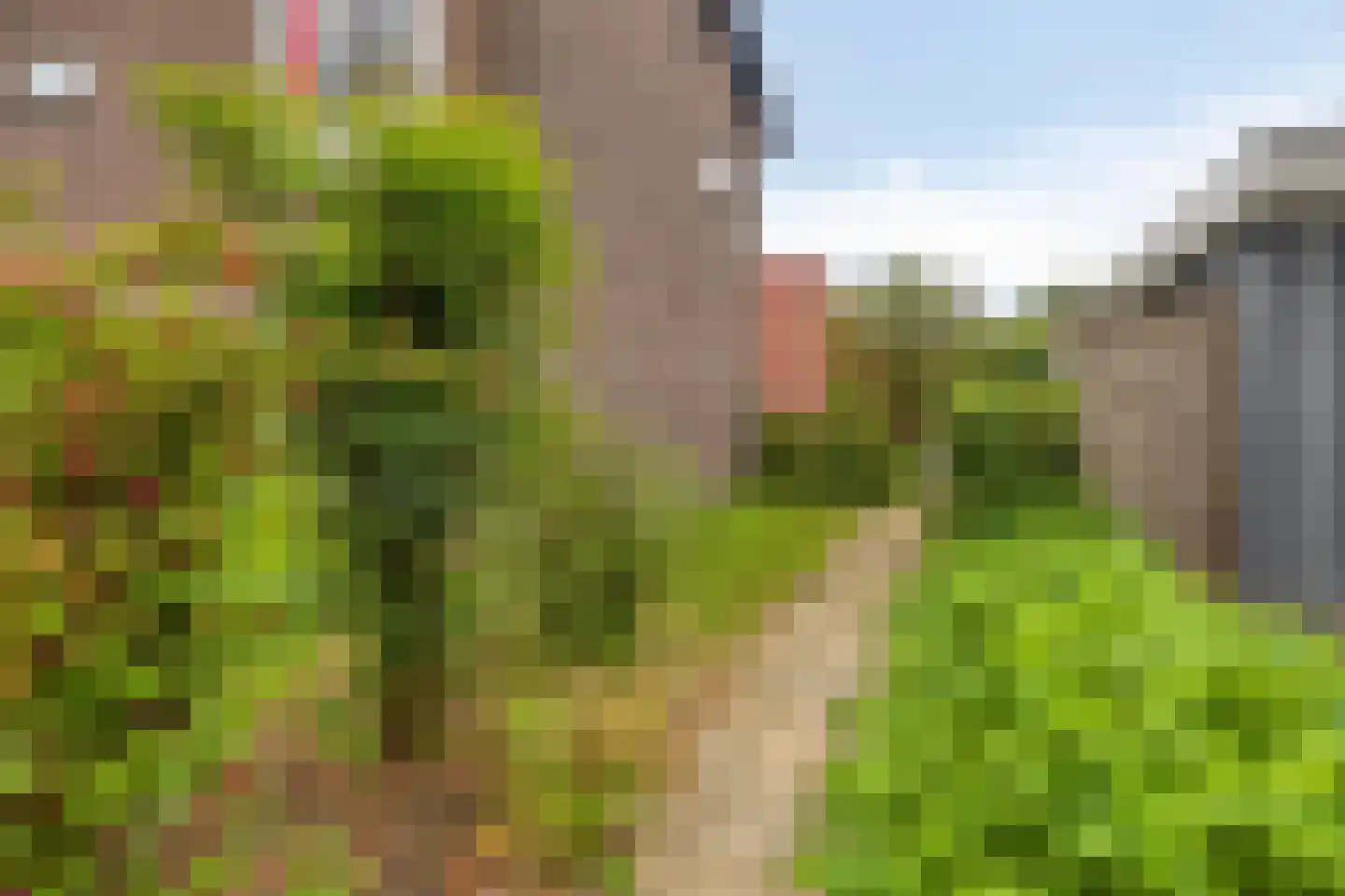Boterbloemstraat 1 a Rheden thumbnail 29