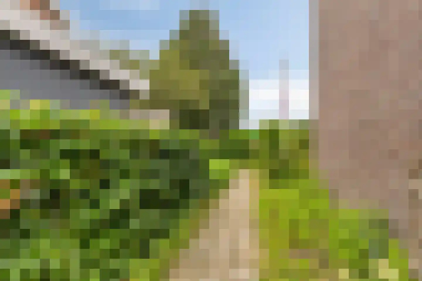 Boterbloemstraat 1 a Rheden thumbnail 30