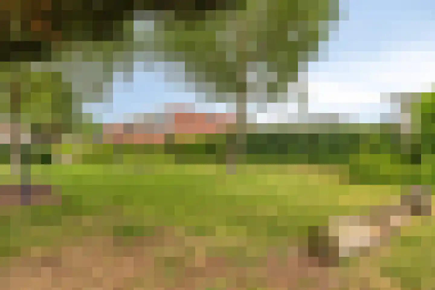 Boterbloemstraat 1 a Rheden thumbnail 32