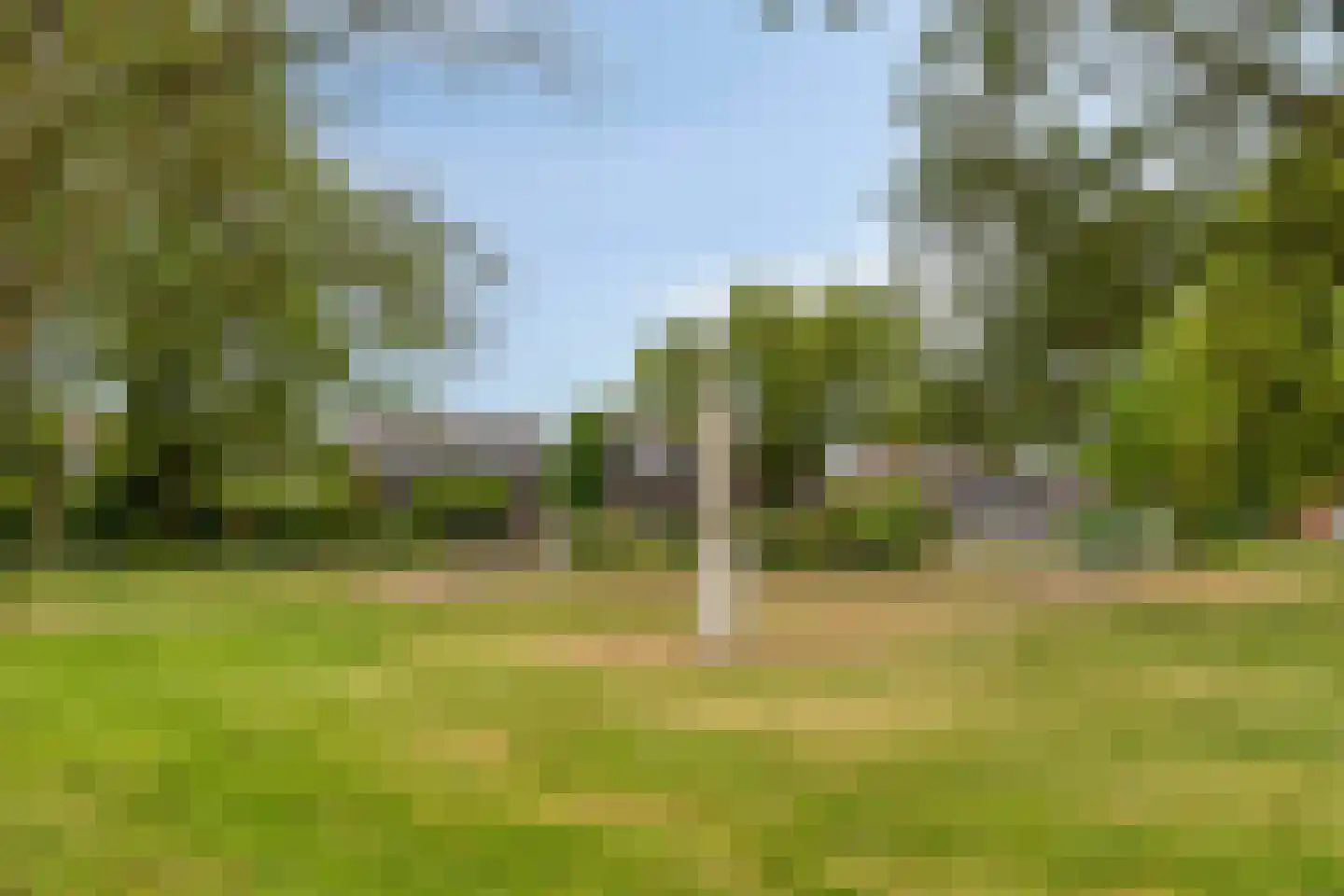 Boterbloemstraat 1 a Rheden thumbnail 35