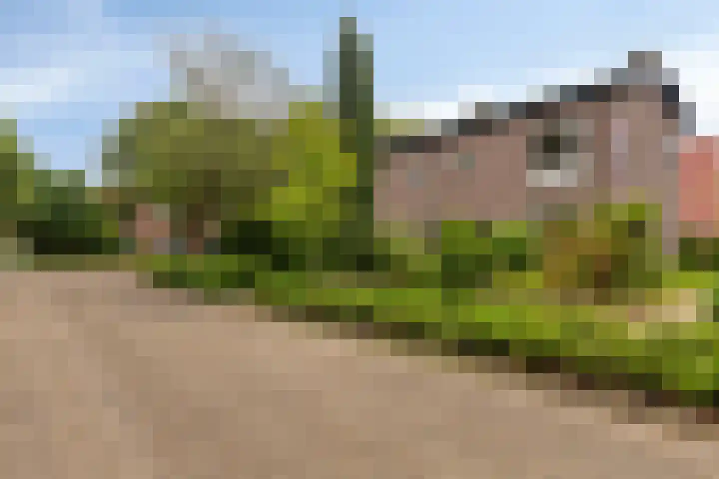 Boterbloemstraat 1 a Rheden thumbnail 38