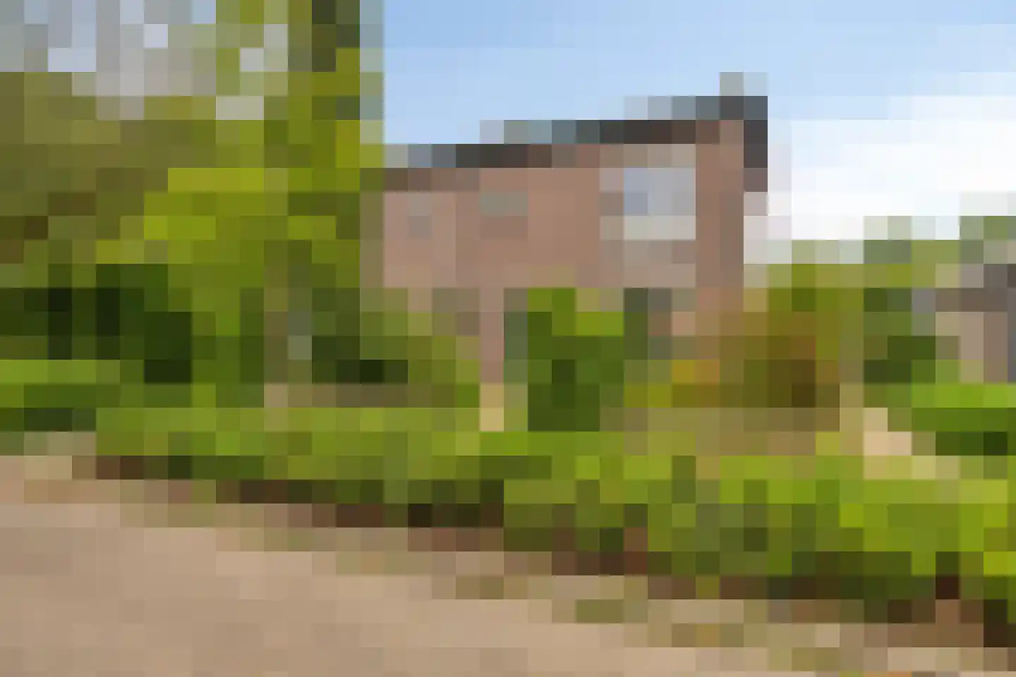 Boterbloemstraat 1 a Rheden thumbnail 39