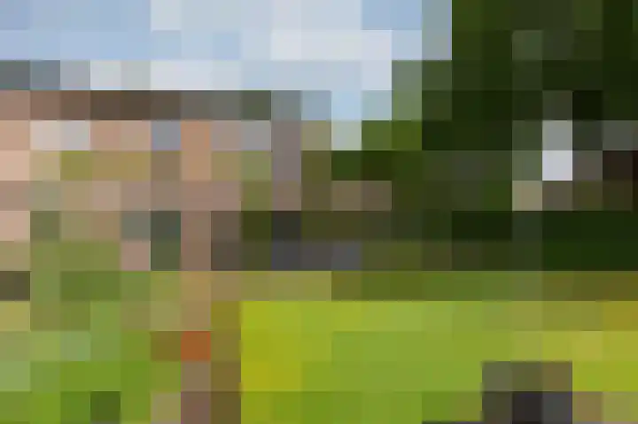 Boterbloemstraat 1 Rheden thumbnail 24
