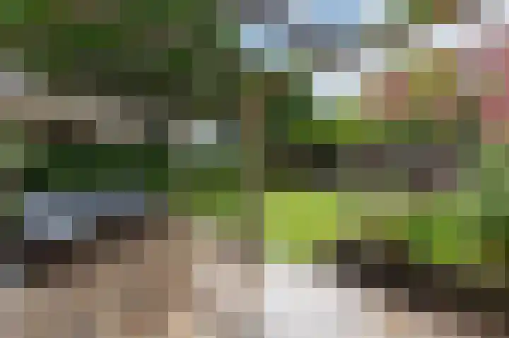 Boterbloemstraat 1 Rheden thumbnail 27