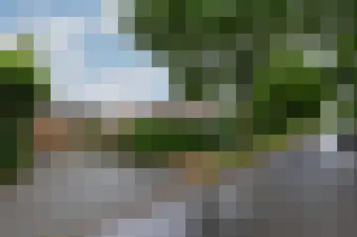 Boterbloemstraat 1 Rheden thumbnail 30