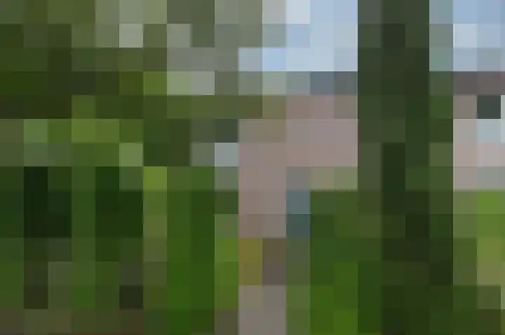 Boterbloemstraat 1 Rheden thumbnail 31