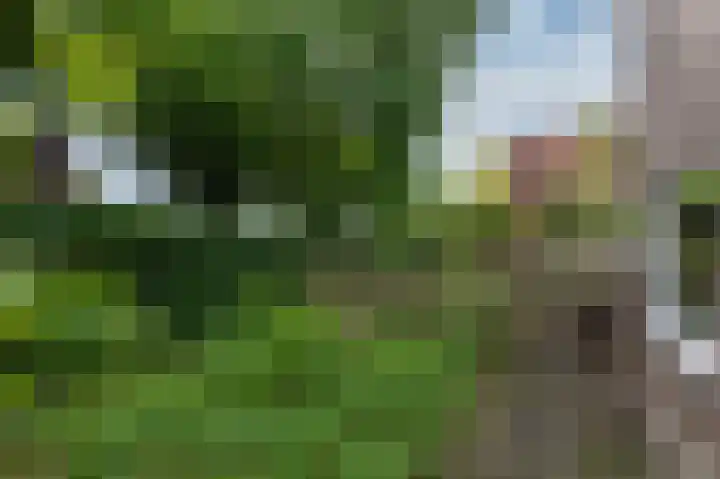 Boterbloemstraat 1 Rheden thumbnail 32