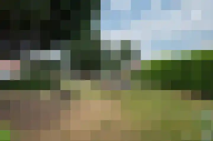 Boterbloemstraat 1 Rheden thumbnail 33