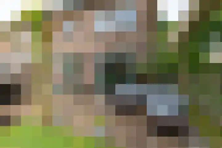 Boterbloemstraat 1 Rheden thumbnail 4