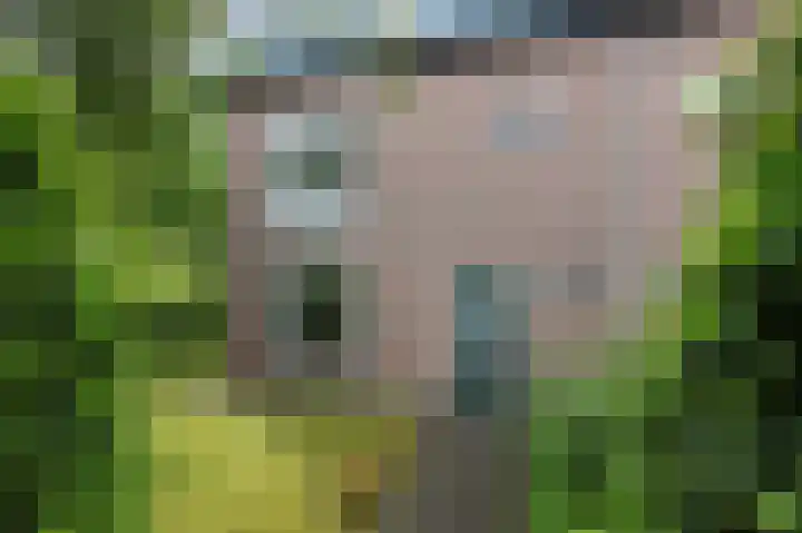 Boterbloemstraat 1 Rheden thumbnail 5
