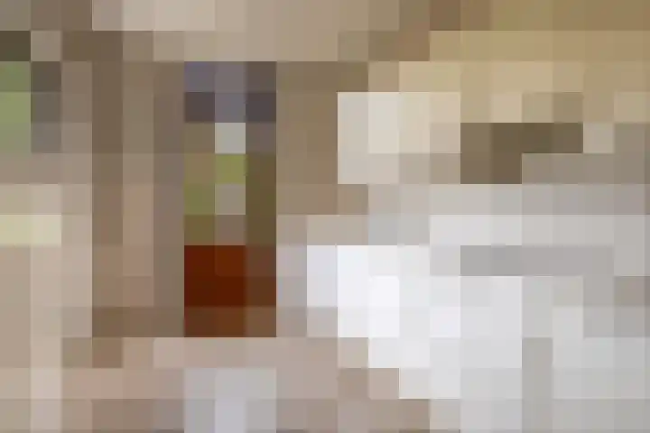 Boterbloemstraat 10 Krimpen aan de Lek thumbnail 20
