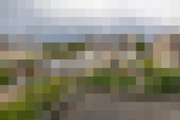 Boterbloemstraat 10 Krimpen aan de Lek thumbnail 31