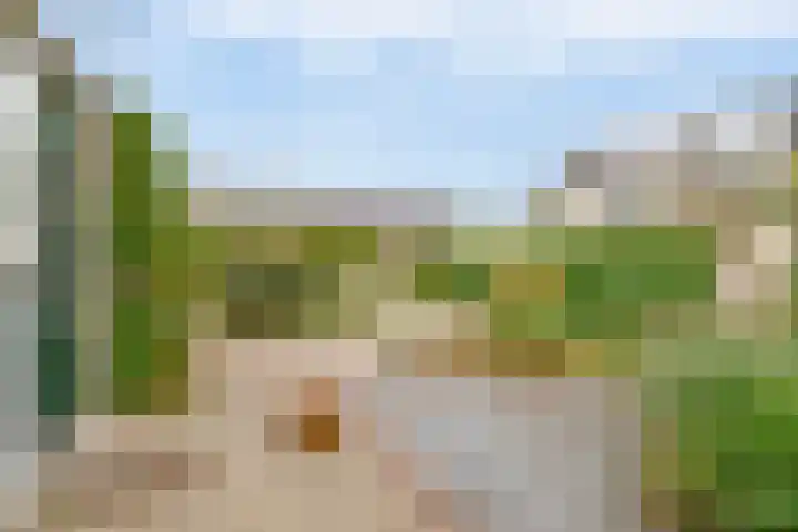 Boterbloemstraat 10 Krimpen aan de Lek thumbnail 36