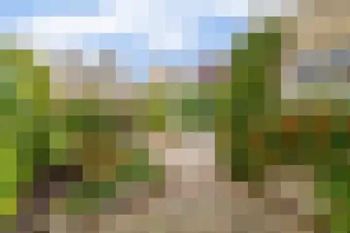 Boterbloemstraat 10 Krimpen aan de Lek thumbnail 40