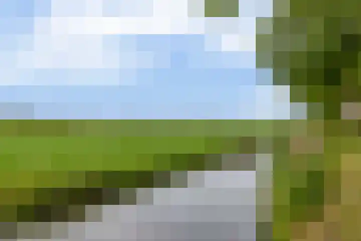 Boterbloemstraat 10 Krimpen aan de Lek thumbnail 42