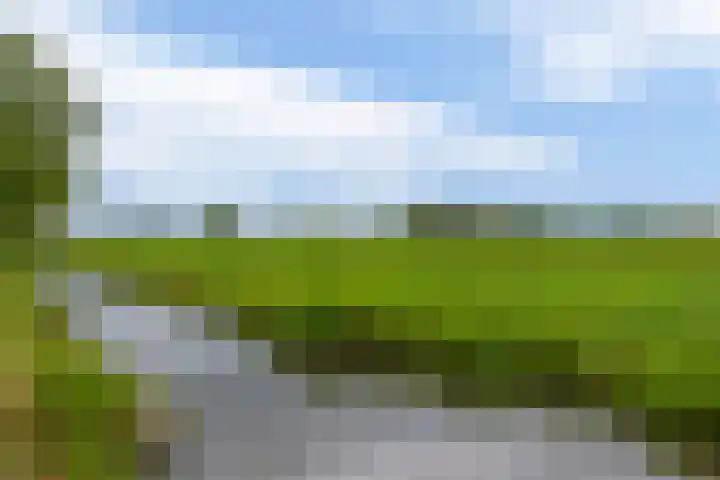 Boterbloemstraat 10 Krimpen aan de Lek thumbnail 43
